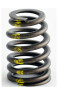 1996 Ford Mustang 3.8L Engine Valve Spring ERV2475.P1