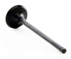2001 Kia Rio 1.5L Engine Intake Valve IM1008.P1