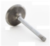 1993 Dodge Ram 50 2.4L Engine Intake Valve IM2408.P18