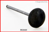 1992 Honda Accord 2.2L Engine Intake Valve IM2660.P9