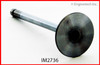 1994 Geo Prizm 1.8L Engine Intake Valve IM2736.P8