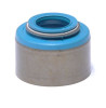 2007 Chevrolet Silverado 2500 HD Classic 8.1L Engine Valve Stem Oil Seal S2980-20.P49