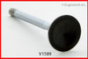 1989 Dodge Diplomat 5.2L Engine Exhaust Valve V1589.P647