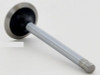 1986 Buick Regal 5.0L Engine Exhaust Valve V1835.P156