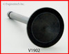 1987 Buick Electra 5.0L Engine Intake Valve V1902.P69