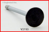1989 Lincoln Town Car 5.0L Engine Exhaust Valve V2193.P36