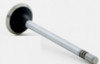 2003 Lincoln Navigator 5.4L Engine Exhaust Valve V2843.P28