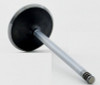 2005 Ford Freestar 4.2L Engine Intake Valve V3004.P49