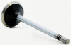 2001 Dodge Dakota 4.7L Engine Exhaust Valve V3705B.P5