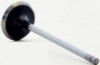 2015 Dodge Journey 2.4L Engine Intake Valve V4448.P72