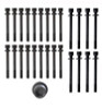 1999 Nissan Pathfinder 3.3L Engine Cylinder Head Bolt Set HB184.P62