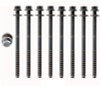 2010 Mercury Mariner 3.0L Engine Cylinder Head Bolt Set HB224.P95