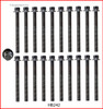 2010 Infiniti M45 4.5L Engine Cylinder Head Bolt Set HB242.P46