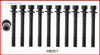 2001 Hyundai Accent 1.6L Engine Cylinder Head Bolt Set HB251.P1