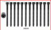 2007 Volkswagen Jetta 2.5L Engine Cylinder Head Bolt Set HB269.P16