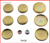 1989 GMC S15 2.5L Engine Expansion Plug Kit PK42B.P143