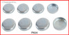 1995 Oldsmobile Cutlass Ciera 2.2L Engine Expansion Plug Kit PK64.P30