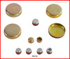 1998 Pontiac Sunfire 2.2L Engine Expansion Plug Kit PK74.P5