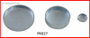 2007 Chevrolet Silverado 1500 Classic 5.3L Engine Expansion Plug Kit PK827.P191