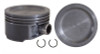 2002 Mercury Mountaineer 4.6L Engine Piston Set P5013(8).P27