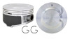 2006 Chevrolet Trailblazer 4.2L Engine Piston Set P5069(6).P6
