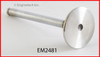 Exhaust Valve - 1993 Dodge Ram 50 2.4L (EM2481.B18)