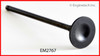 Exhaust Valve - 1991 Honda Accord 2.2L (EM2767.A5)