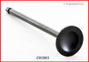 Exhaust Valve - 2005 Mitsubishi Lancer 2.0L (EM2865.C24)