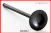 Exhaust Valve - 1999 Acura SLX 3.5L (EM3461.A6)