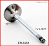 2001 Audi A6 2.8L Engine Exhaust Valve EM3483 -59