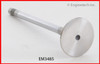 Exhaust Valve - 2000 Audi TT Quattro 1.8L (EM3485.E50)