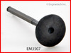 Exhaust Valve - 2001 Toyota Land Cruiser 4.7L (EM3507.B20)