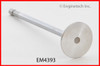 Exhaust Valve - 1992 Mazda 929 3.0L (EM4393.A3)