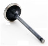 2010 Subaru Legacy 2.5L Engine Exhaust Valve EM4437 -35