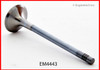 2007 Audi S6 5.2L Engine Exhaust Valve EM4443 -19