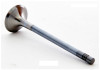 2008 Volkswagen Jetta 2.0L Engine Exhaust Valve EM4443 -45