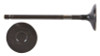 2013 Toyota Tacoma 2.7L Engine Exhaust Valve EM4465 -10