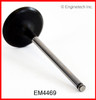 2010 Hyundai Genesis Coupe 3.8L Engine Exhaust Valve EM4469 -37 2010 Hyundai Genesis Coupe 3.8L Engine Exhaust Valve EM4469 -37