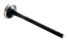 2012 Toyota Tacoma 4.0L Engine Exhaust Valve EM4503S -23