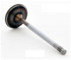 Intake Valve - 2004 Volkswagen Touareg 3.2L (IM1014.A4)