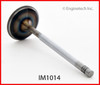 Intake Valve - 2006 Audi A3 Quattro 3.2L (IM1014.A8)