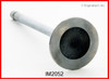 Intake Valve - 1987 Chevrolet Nova 1.6L (IM2052.B17)