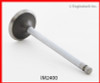 Intake Valve - 1992 Mitsubishi Galant 2.0L (IM2400.C24)