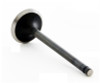 Intake Valve - 1990 Toyota Corolla 1.6L (IM2406.A8)