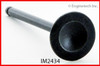 Intake Valve - 1992 Mazda MPV 2.6L (IM2434.A7)