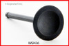 Intake Valve - 1986 Mazda B2000 2.0L (IM2436.A6)