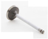 Intake Valve - 1989 Mazda 323 1.6L (IM2440.A6)