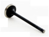 Intake Valve - 1985 Toyota Corolla 1.6L (IM2458.A1)