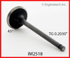 Intake Valve - 1986 Nissan Pulsar NX 1.6L (IM2518.A8)