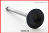 Intake Valve - 1989 Toyota Tercel 1.5L (IM2536.A3)